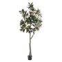 Albero di magnolia Yulan artificiale BELLITA, tronco artificiale, verde oliva, 240 cm