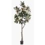 Albero di magnolia Yulan artificiale BELLITA, tronco artificiale, verde oliva, 240 cm
