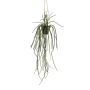 Fioriera artificiale Rhipsalis pilocarpa JEXIA, vaso decorativo, verde, 85 cm