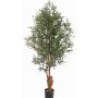 Olivo artificiale FINLOR, tronco reale, con frutti, zona trasversale, 170cm