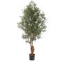Olivo artificiale FINLOR, tronco reale, con frutti, zona trasversale, 170cm