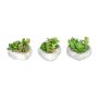 Composizione artificiale di piante succulente SORIPI, 3 pezzi, cuore in cemento, verde-rosa, 7cm