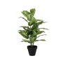 Pianta artificiale Dieffenbachia ELSAWA in vaso decorativo, verde, 65 cm