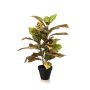 Pianta artificiale Kroton ISKANDAR in vaso decorativo, variegata, 65 cm