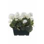 Gerani artificiali FLOREANA in fioriera, 2 pezzi, bianchi, 24x11x35 cm