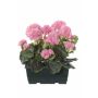 Gerani artificiali FLOREANA in fioriera, 2 pezzi, rosa chiaro, 24x11x35 cm