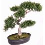 Cedro bonsai sintetico JARNO, con radici, in ciotola, verde, 40cm