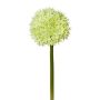 Fiore decorativo Allium WANDENY, verde crema, 65 cm