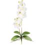Orchidea Phalaenopsis in tessuto MORLEK, bastoncino, radici, crema, 60 cm