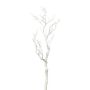 Ramo di betulla decorativo SNEFLO, bianco, 75 cm