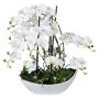 Orchidea artificiale salice contorto TANIN, vaso in ceramica, radici, bianco, 70 cm