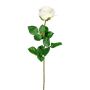 Fiore decorativo rosa NORLAN, crema, 70 cm