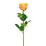 Fiore decorativo rosa NORLAN, albicocca, 70cm, Ø8cm