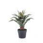Pianta artificiale succulenta agave drago RUPUN in vaso decorativo, verde, 45 cm