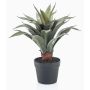 Pianta artificiale succulenta agave drago RUPUN in vaso decorativo, verde, 45 cm