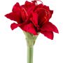 Fiore di plastica amarillide LIKONE, rosso, 30cm