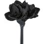 Fiore di plastica Amaryllis LIKONE, nero, 65 cm