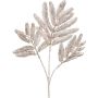 Ramo artificiale albero di fuoco GRUNTA, champagne, 50 cm