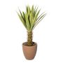 Agave furcraea gigantea SININ artificiale in vaso di terracotta, verde-crema, 75 cm