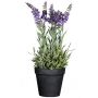 Fiore decorativo lavanda KENSY in vaso decorativo, viola, 35 cm