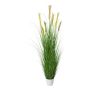Erba artificiale Pampas FONZA in vaso decorativo, pannocchie, marrone-giallo, 180cm