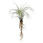 Succulenta artificiale Tillandsia stricta SNELDON con radici, verde, 22 cm