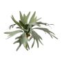 Pianta artificiale felce corna di cervo SLUHAR, bastoncino, verde, 35cm