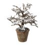 Albero artificiale faggio BONKA, senza foglie, innevato, vaso decorativo, bianco-marrone, 24 cm