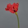 Fiore decorativo amarillide BELAV, rosso, 70cm, Ø5-13cm
