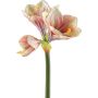Fiore decorativo amarillide BELAV, rosa-crema-verde, 70cm, Ø5-13cm