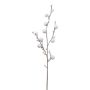 Ramo decorativo di cotone GRIFON con frutti, bianco, 90 cm