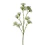 Ramo decorativo achillea GRUNTO, bianco, 65 cm