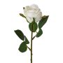 Fiore artificiale rosa EMBERY, bianco, 45 cm