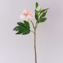 Peonia artificiale FYRFAR, aperta, rosa chiaro, 60 cm