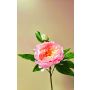 Peonia artificiale FYRFAR, aperta, rosa, 60 cm