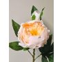 Peonia artificiale FYRFAR, semiaperta, crema-albicocca, 60 cm