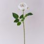 Rosa artificiale MARNUK, crema-bianca, 60cm, Ø9cm