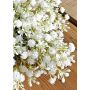 Ghirlanda di fiori artificiali con gypsophila CECILIA, bianco crema, Ø 35 cm