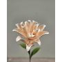 Camelia in schiuma sintetica SINDAKLY, albicocca, 80 cm