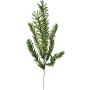 Ramo artificiale di rosmarino in schiuma plastica MINDAKLY, verde, 90 cm