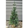 Abete rosso artificiale STORNYN in sacco di iuta, 90 cm