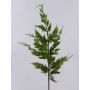 Ramo decorativo di tuia STERNYN, verde, 85cm