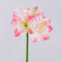 Amaryllis artificiale SARNUK, bianco-rosa, 80cm