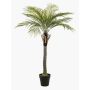 Palma da cocco artificiale BOLON, 160 cm