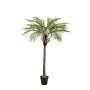 Palma da cocco artificiale BOLON, 180 cm