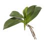 Foglie artificiali orchidea Phalaenopsis BRULST, bastoncino, radici, 25 cm