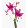 Fiore artificiale giglio ZAXIL con fiori, viola, 75 cm