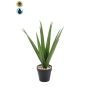 Palma yucca artificiale BAKVER, vaso decorativo, crossdoor, 50 cm