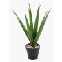 Palma yucca artificiale BAKVER, vaso decorativo, crossdoor, 50 cm