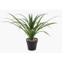 Palma artificiale Yucca rostrata POLLYANNA, vaso decorativo, crossdoor, 35 cm